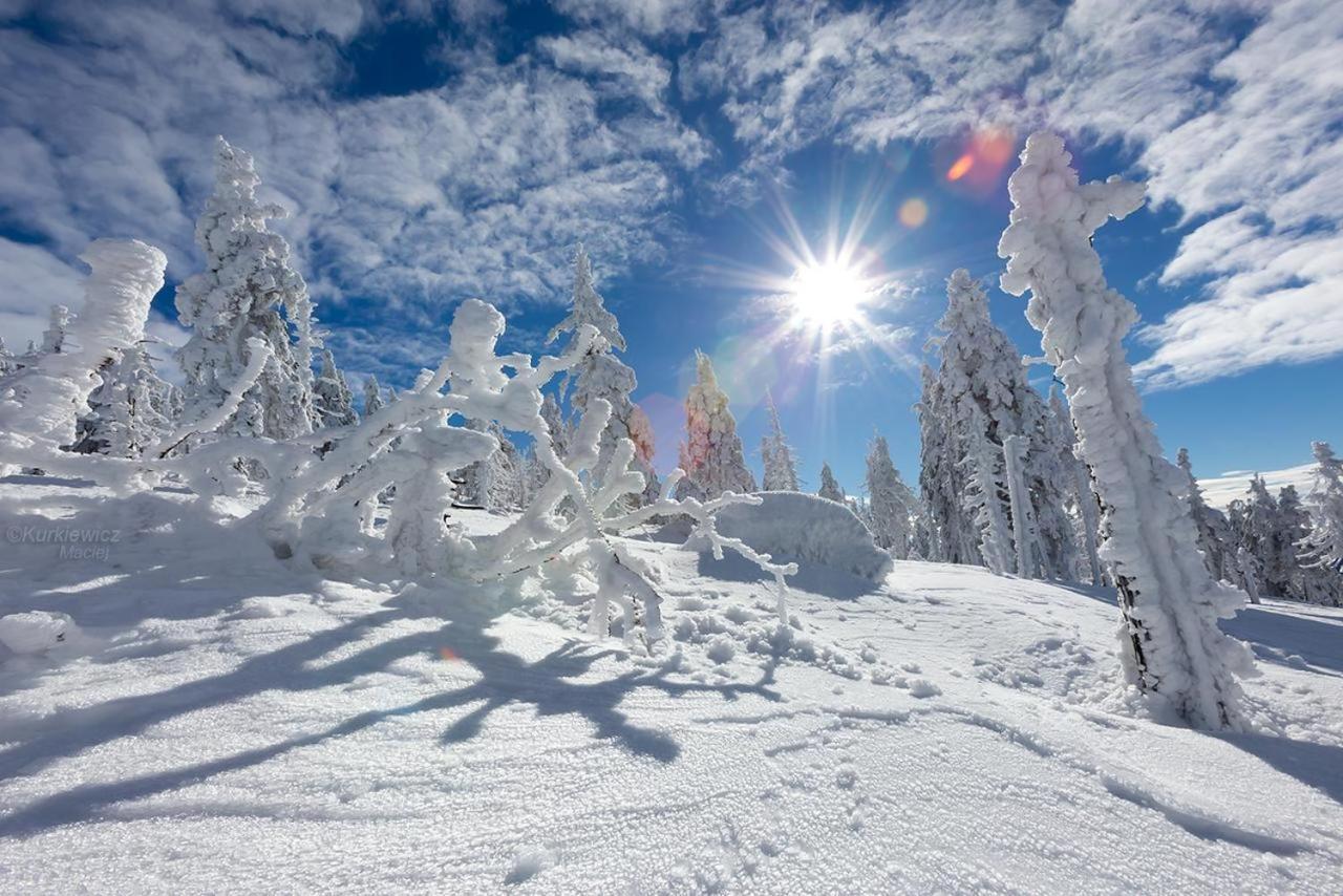 Domek 4Seasons Karpacz Z Prywatna Sauna I Kominkiem Bagian luar foto